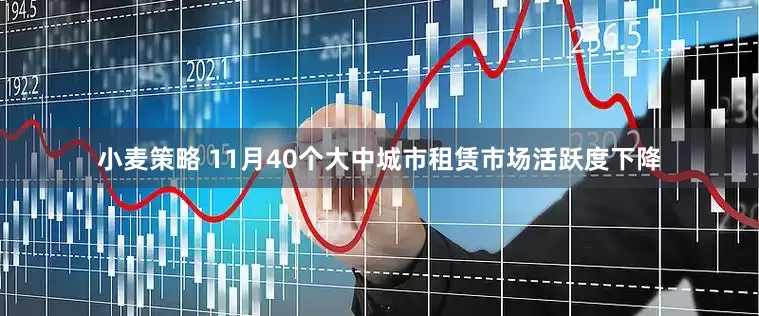 小麦策略 11月40个大中城市租赁市场活跃度下降