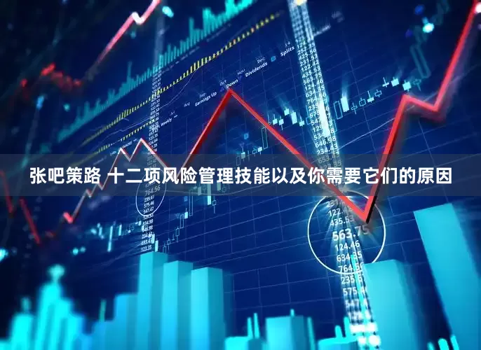 张吧策路 十二项风险管理技能以及你需要它们的原因