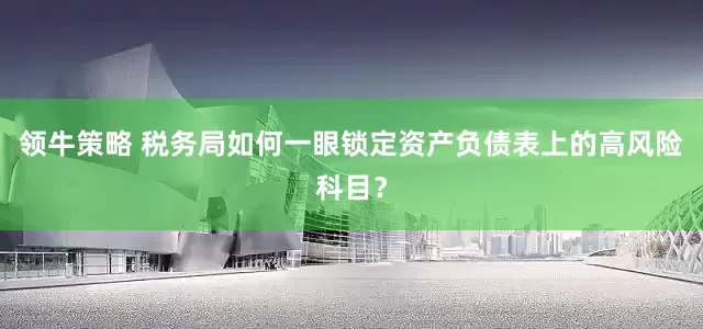 领牛策略 税务局如何一眼锁定资产负债表上的高风险科目？