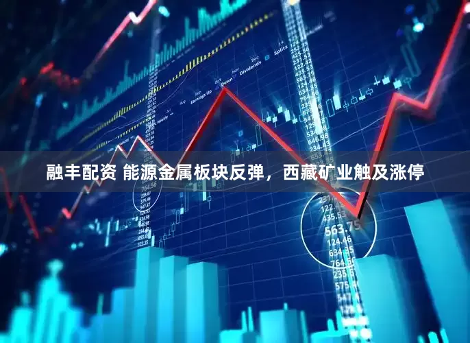 融丰配资 能源金属板块反弹，西藏矿业触及涨停